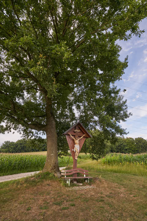 Gemeinde Simbach Landkreis Rottal-Inn Schellenberg Kreuz Baum Eiche (Dirschl Johann) Deutschland PAN